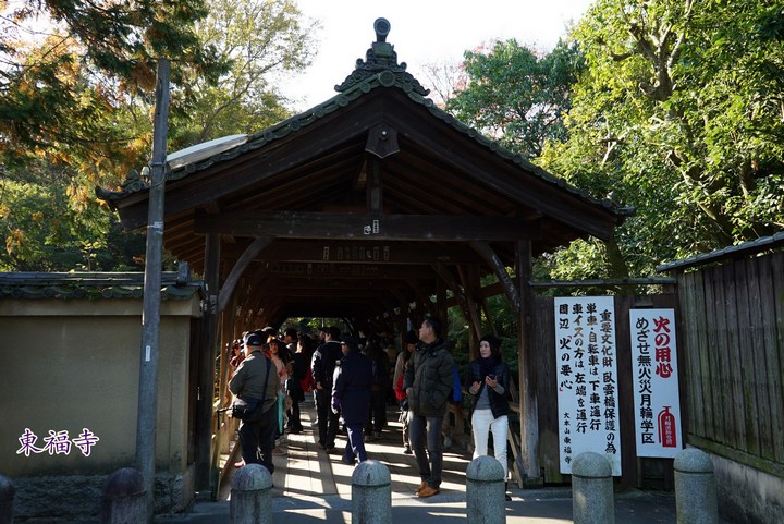 第一次京都、奈良行
