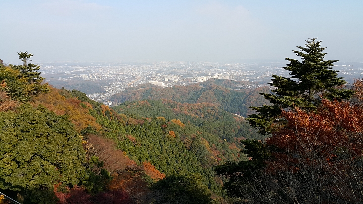 NOTE 4 旅遊東京 照片分享 (圖多)