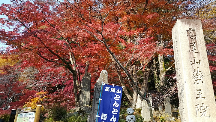 NOTE 4 旅遊東京 照片分享 (圖多)