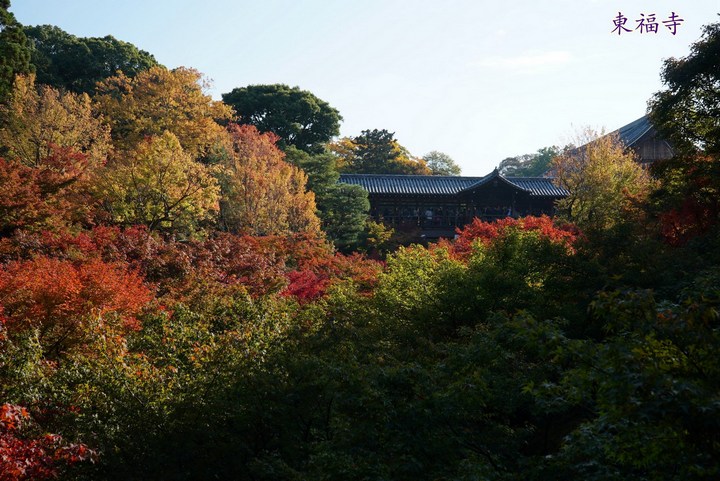 第一次京都、奈良行
