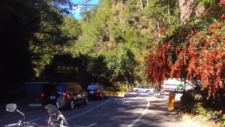 On the road again  2014/11/24 初冬的武陵