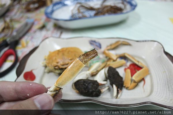[食記] 宜蘭頭城 蘭楊蟹莊 零藥物台灣養殖蘭陽雪山蟹