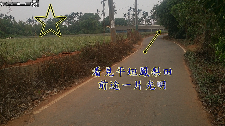 員林Ubike微笑笑笑到微熱山丘玩