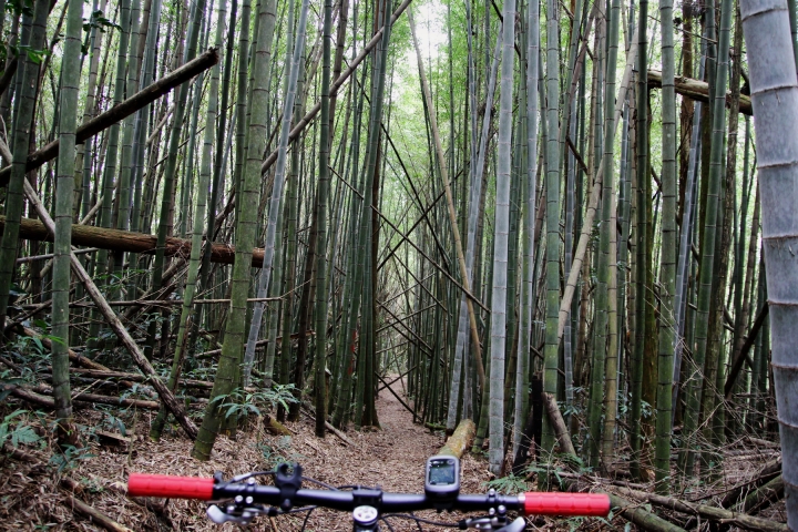 石壁木馬古道O型環狀越嶺單車騎