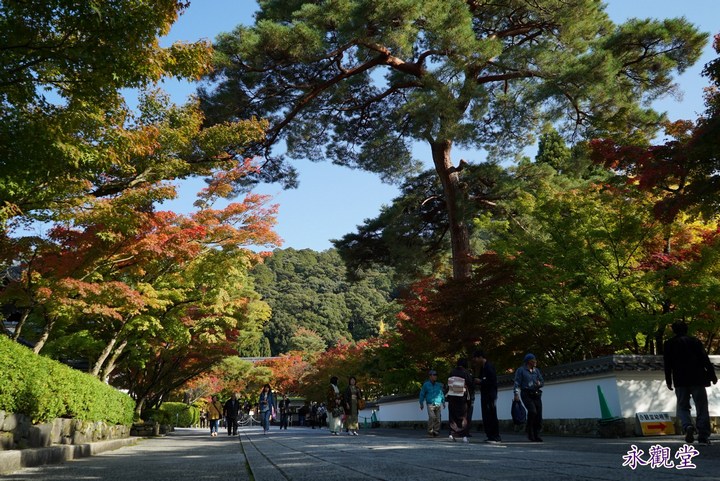 第一次京都、奈良行