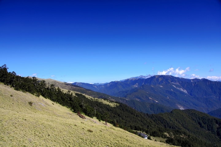 純分享~ 武陵銀杏、福壽楓紅、合歡山景