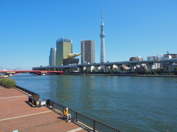 遲來的東京自助五日遊照片分享 (E-P5,E-PL2) 圖小多