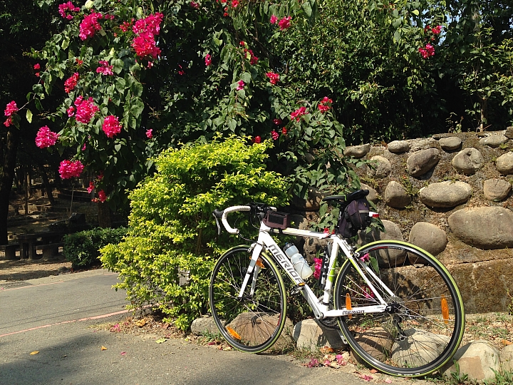 [沒箱子開箱] CANNONDALE 2014 CAAD10 vs 136試車照