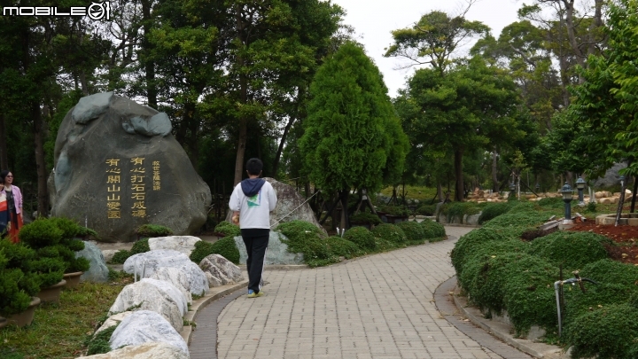 苗栗九湖賞杭菊.九華山禮佛散步遊