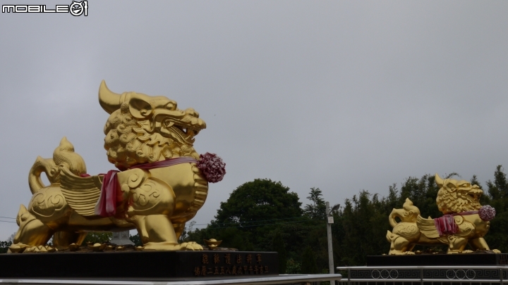 苗栗九湖賞杭菊.九華山禮佛散步遊