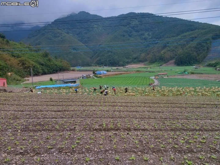 中橫公路一遊