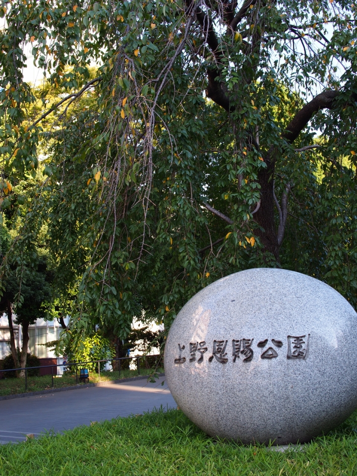 遲來的東京自助五日遊照片分享 (E-P5,E-PL2) 圖小多