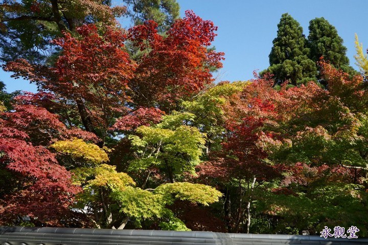 第一次京都、奈良行