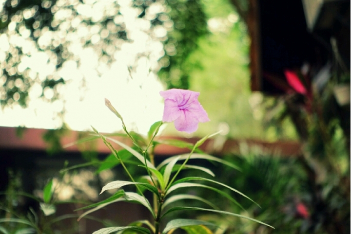 鐵道餐廳拍照RX100M3