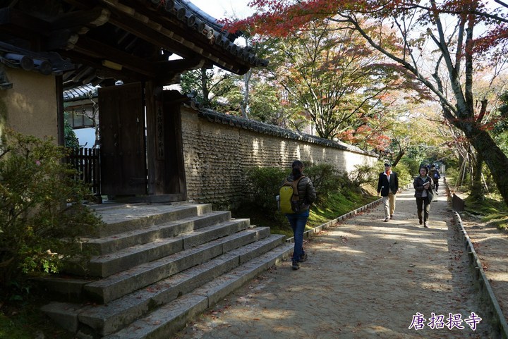 第一次京都、奈良行