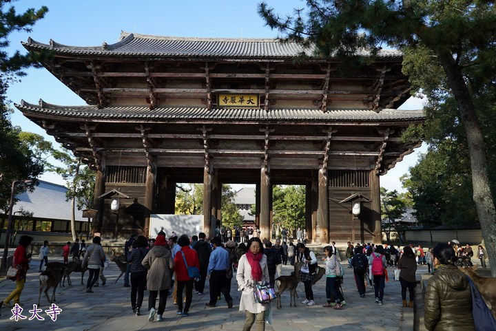 第一次京都、奈良行