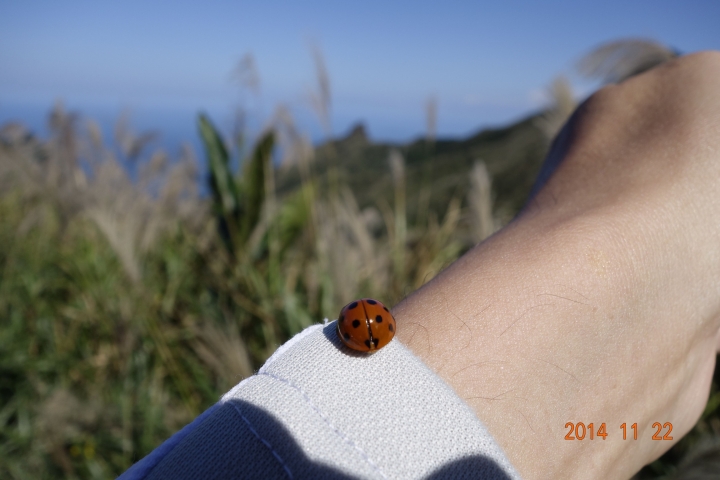 (1122超越藍綠)~我在九份,天氣晴