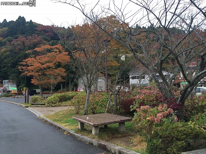 遊記分享~余小牛浪跡天涯-日本東京篇-day 3