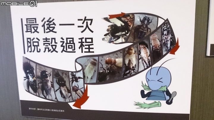 雲林麥寮 晁陽綠能園區散步遊