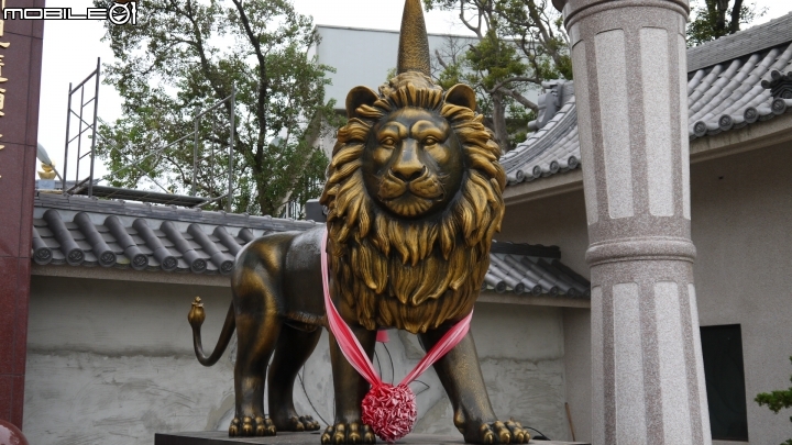 苗栗九湖賞杭菊.九華山禮佛散步遊