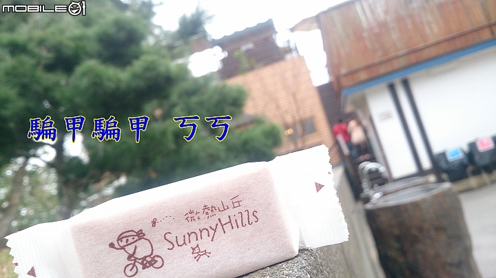 員林Ubike微笑笑笑到微熱山丘玩