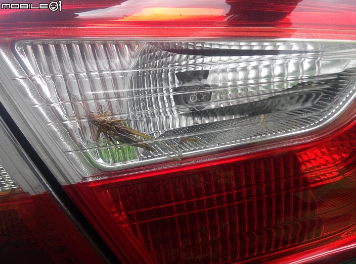 new Focus 尾燈進蟲……只清理無換新 。有車主有一樣的問題嗎？