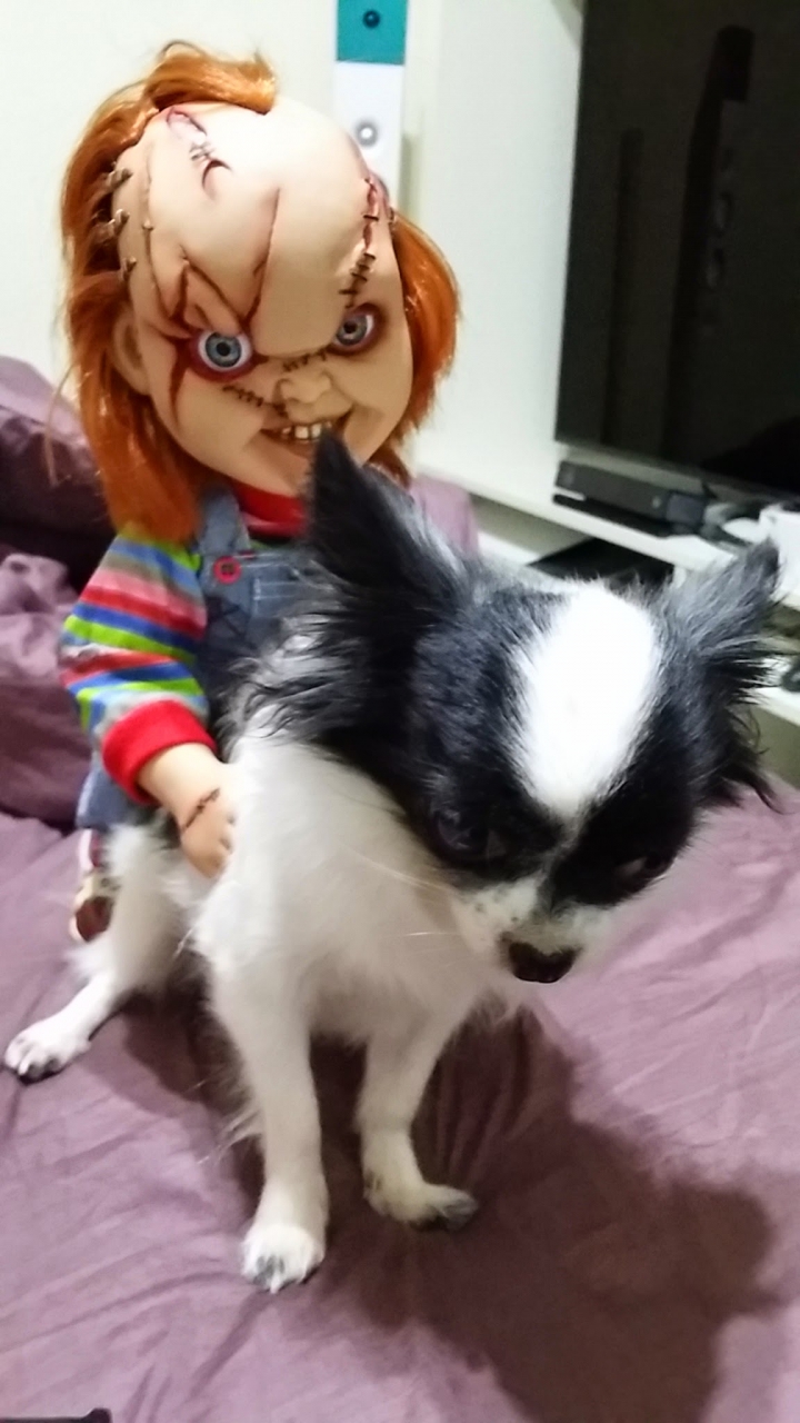 MEZCO TOYZ CHUCKY 靈異七殺~15吋~鬼娃恰吉~開箱