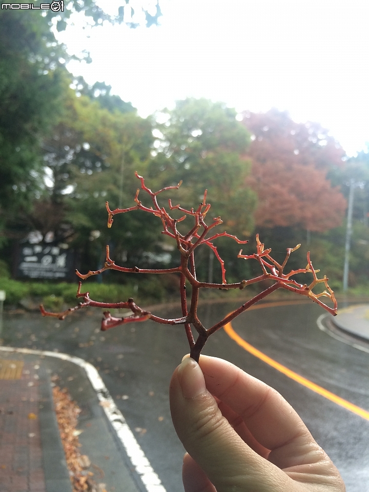 遊記分享~余小牛浪跡天涯-日本東京篇-day 3
