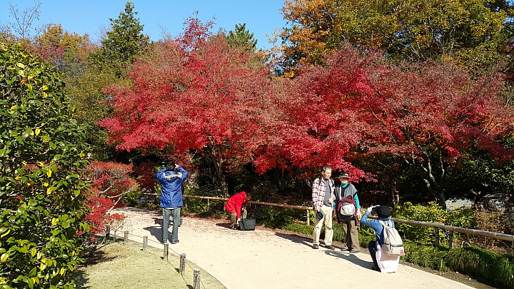 NOTE 4 旅遊東京 照片分享 (圖多)
