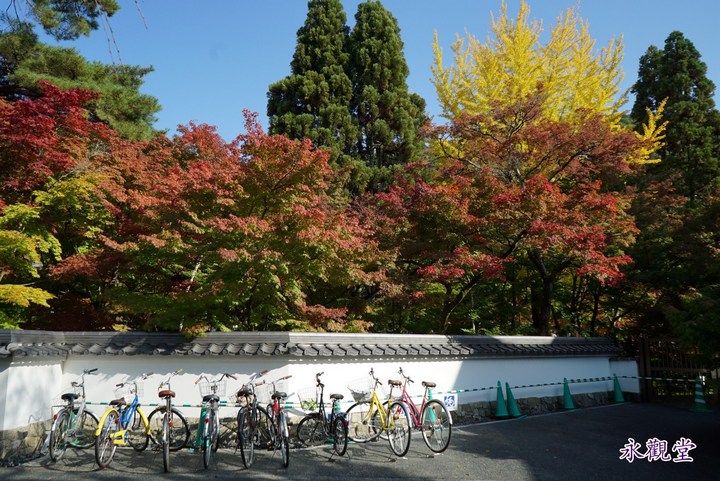第一次京都、奈良行
