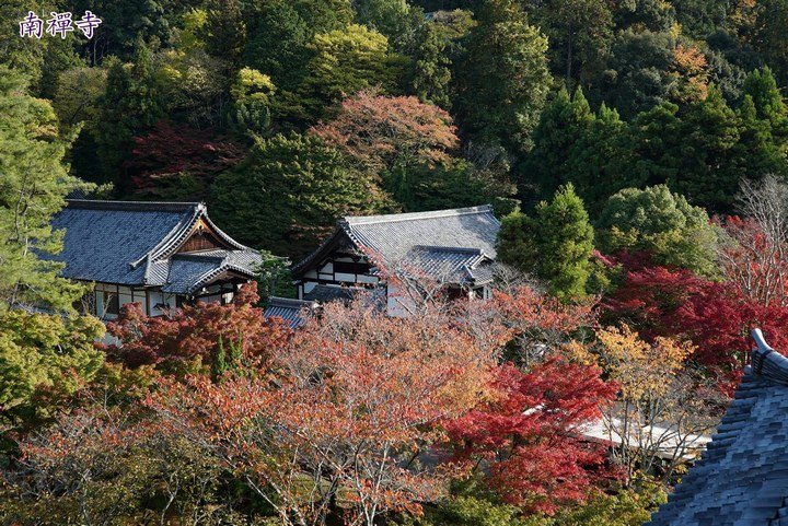 第一次京都、奈良行
