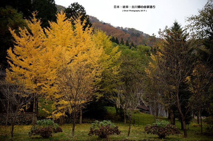 2014 深秋 - 日本北陸
