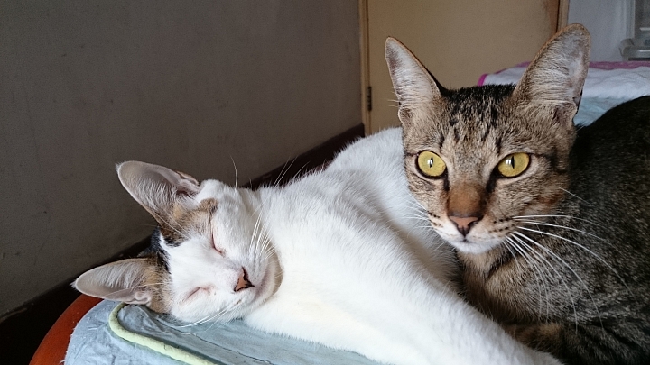 我的可愛小寶貝