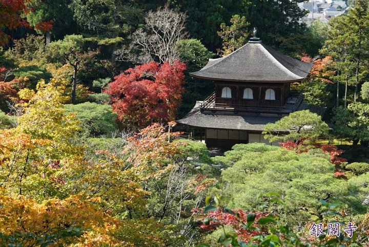 第一次京都、奈良行