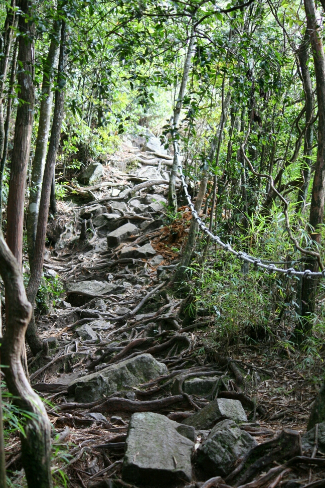 360度的視野和刺激……鳶嘴山
