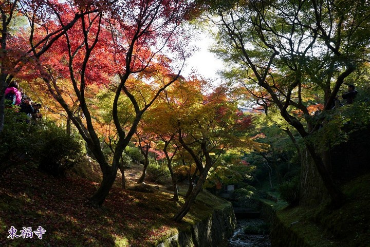 第一次京都、奈良行