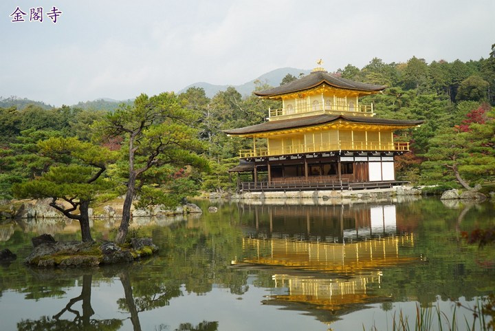 第一次京都、奈良行