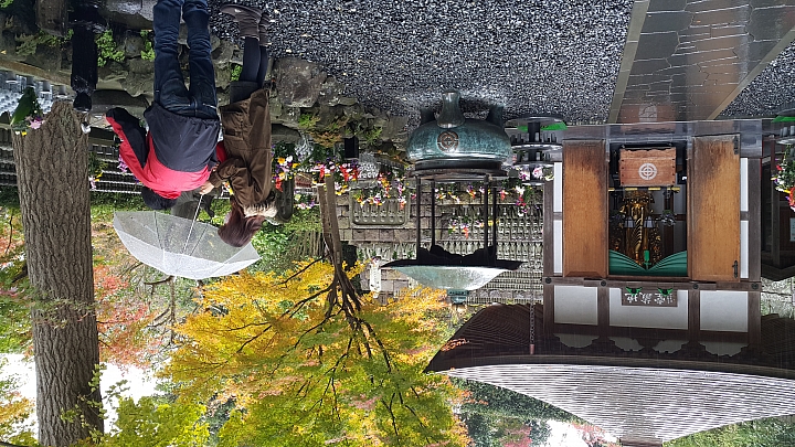 NOTE 4 旅遊東京 照片分享 (圖多)