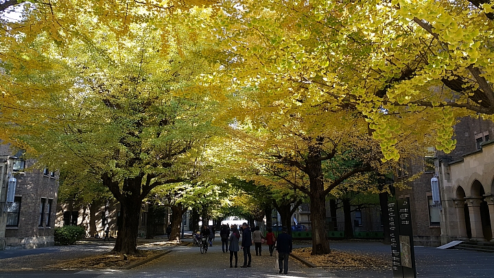 NOTE 4 旅遊東京 照片分享 (圖多)