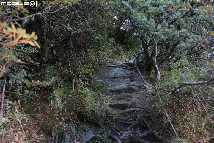 2014.11.21-單日攻畢祿山.鋸齒7連峰.羊頭山.12hr.天氣優