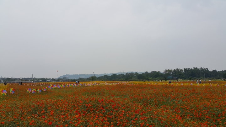 2014 (NOTE4) 新社花海新手拍拍