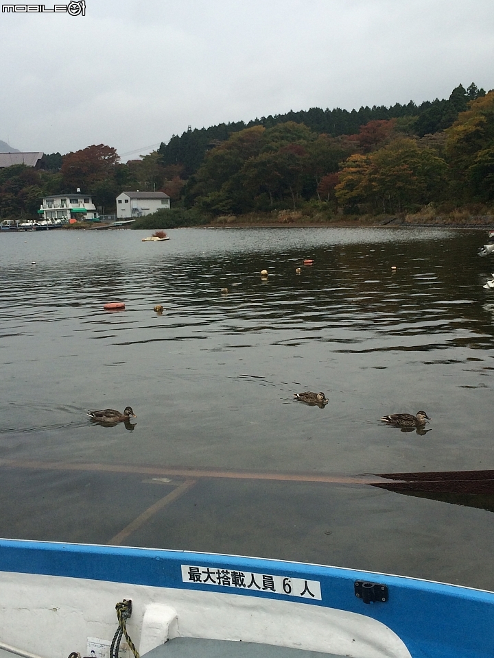 遊記分享~余小牛浪跡天涯-日本東京篇-day 3