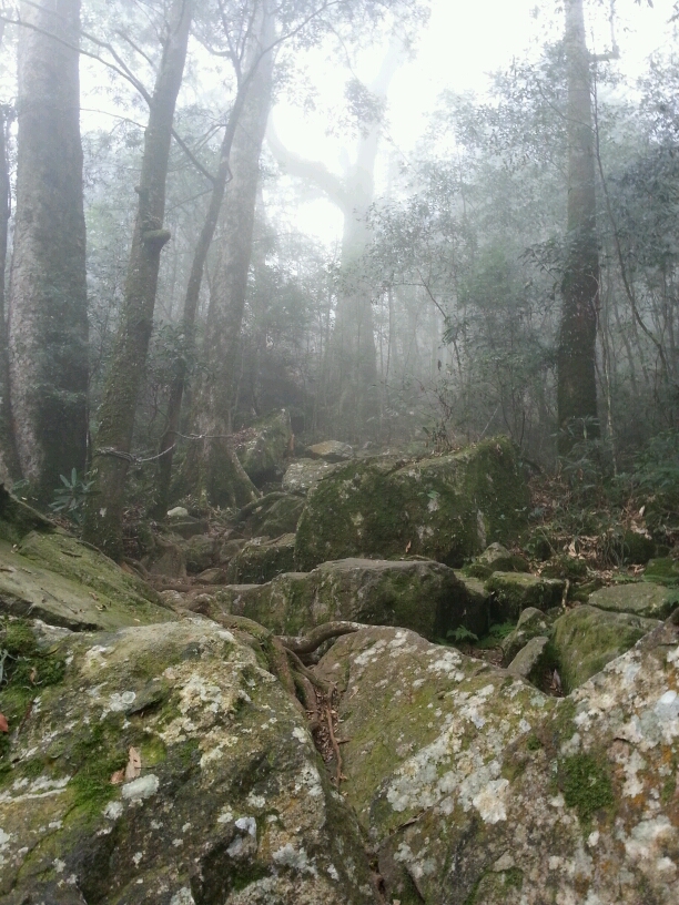 360度的視野和刺激……鳶嘴山
