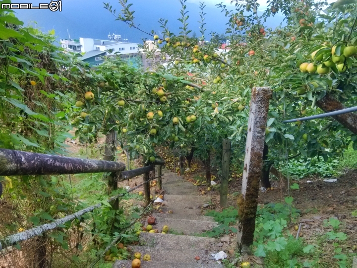 中橫公路一遊