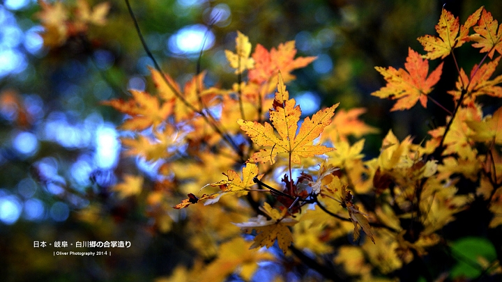 2014 深秋 - 日本北陸