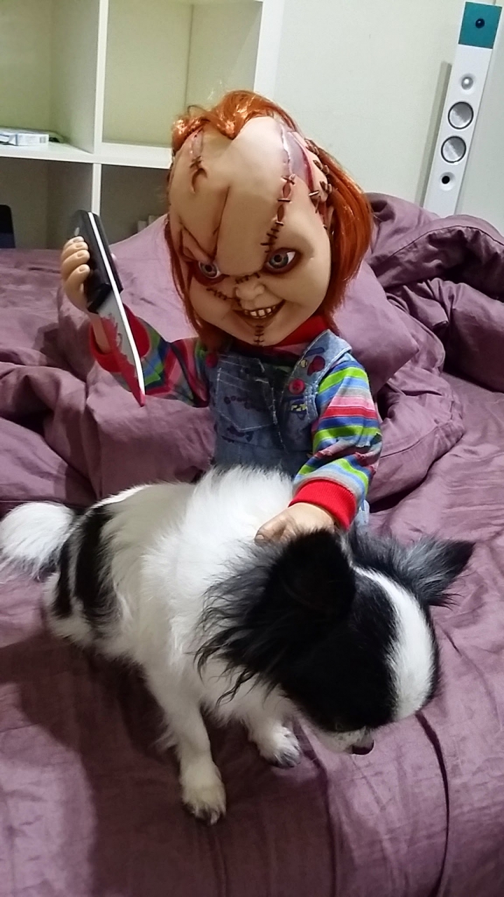 MEZCO TOYZ CHUCKY 靈異七殺~15吋~鬼娃恰吉~開箱