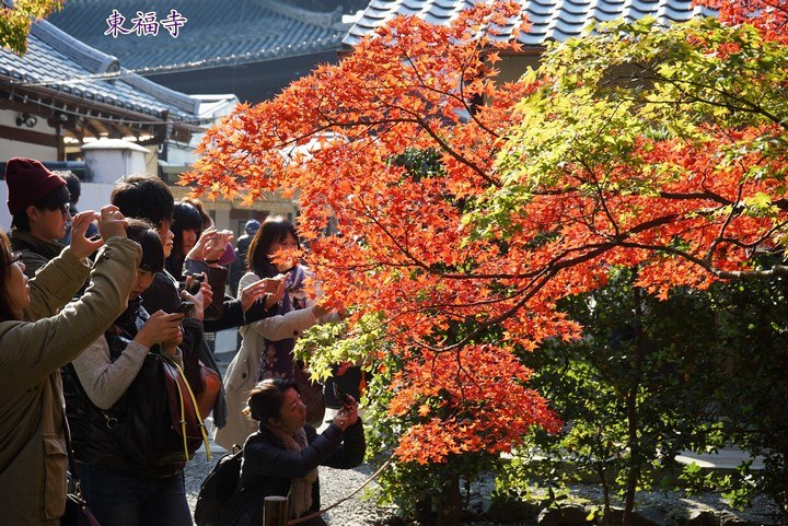 第一次京都、奈良行