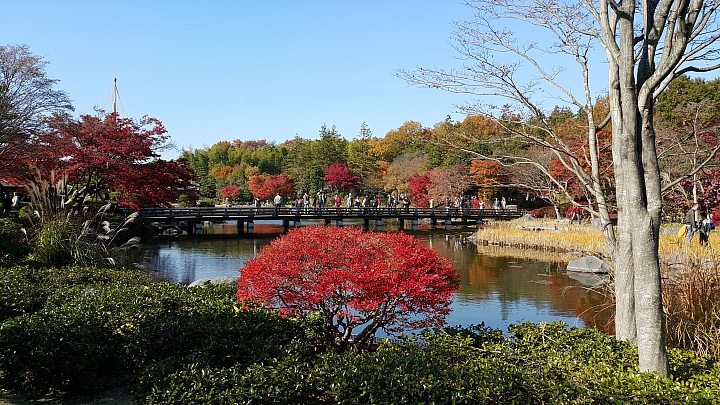 NOTE 4 旅遊東京 照片分享 (圖多)
