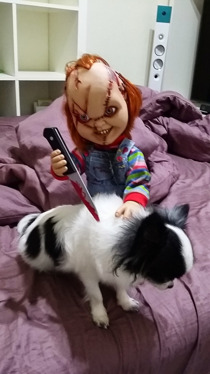 MEZCO TOYZ CHUCKY 靈異七殺~15吋~鬼娃恰吉~開箱