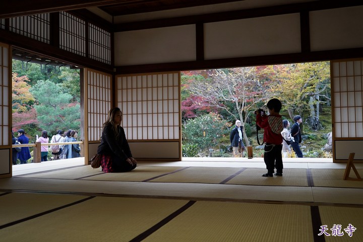 第一次京都、奈良行